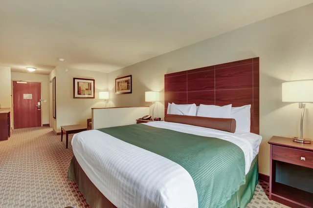 جناح استوديو بسرير كينج مع أريكة، Cobblestone Hotel Suites Waynesboro Pa 1/2
