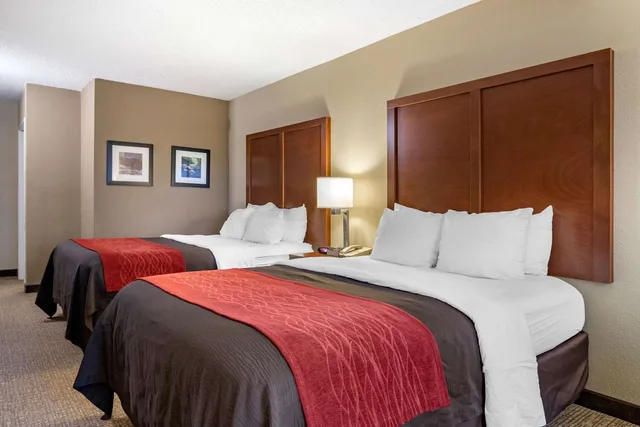 غرفة بسريرين كوين، Comfort Inn Suites Suwanee Sugarloaf 1/3