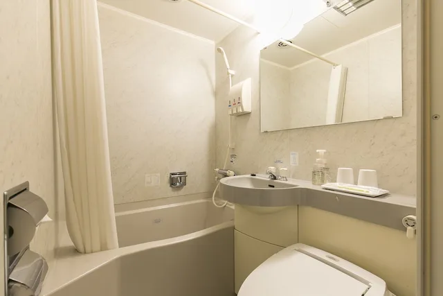 Deluxe, Single, Double Bed, New Building، Nishitetsu Inn Kokura 2/2