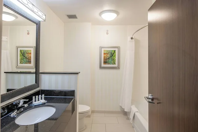 جناح بسرير كينج بغرفة نوم واحدة مع أريكة، Fairfield Inn Suites New Braunfels 1/1
