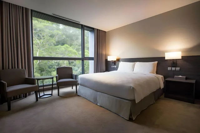 غرفة بريميوم مفردة، Platinum Hotel 1/1