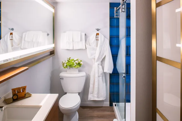 غرفة ديلوكس بسريرين مزدوجين بإطلالة، Le Meridien Essex Chicago 8/10