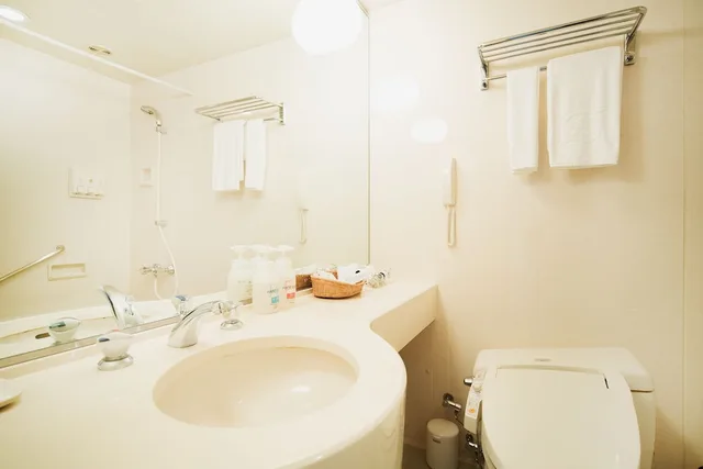 غرفة مفردة بسرير مزدوج، Rembrandt Hotel Ebina 5/6