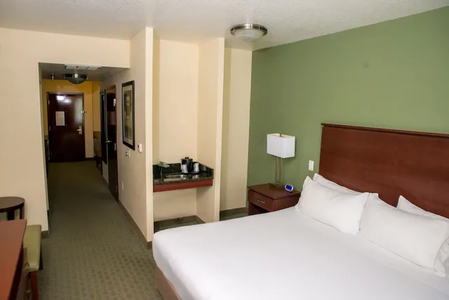 جناح بسرير كينج بغرفة نوم واحدة مع أريكة، Holiday Inn Express and Suites Cocoa 2/10