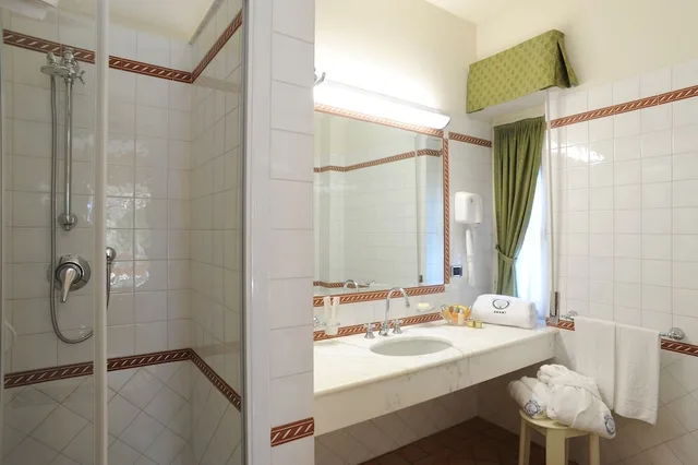 غرفة كلاسيكية مفردة، Park Hotel Villa Ariston 10/15