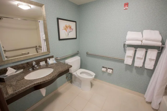 غرفة بسريرين كوين لذوي الإعاقة، Hilton Garden Inn Atlanta South-Mcdonough 4/6