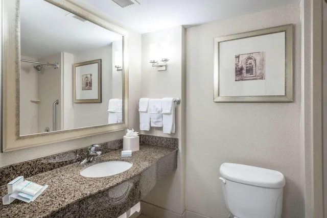 جناح بسرير كينج بغرفة نوم واحدة لذوي الإعاقة، Hilton Garden Inn Richmond Airport 2/2