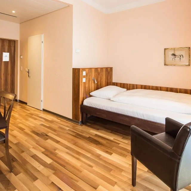 غرفة اقتصادية مفردة بسرير مزدوج، Hotel Schweizerhof Basel 2/5