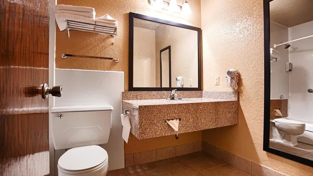 Standard, King Bed, Best Western Green Bay Inn Conference Center 5/7
