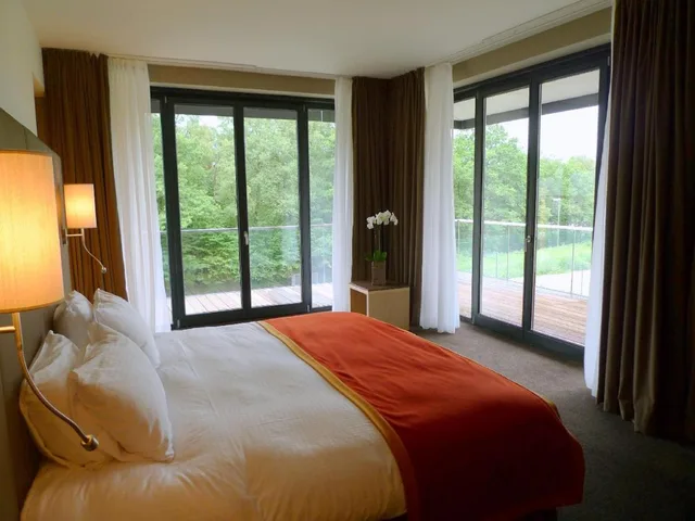 جناح تنفيذي بسرير كينج، Hotel De La Source 1/2