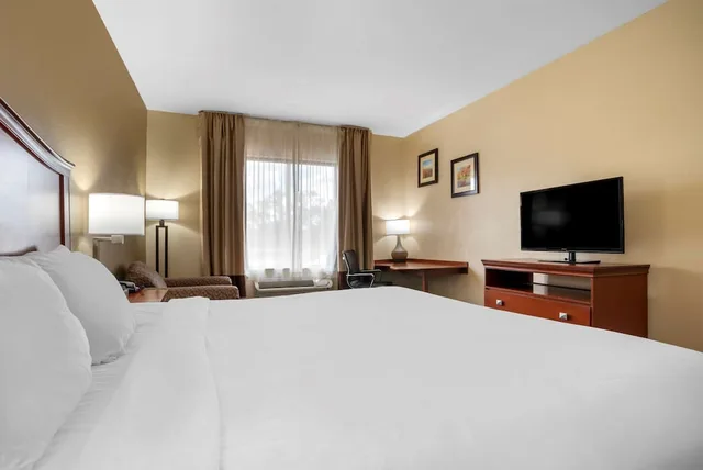 غرفة قياسية بسرير كينج، Comfort Inn & Suites Midway - Tallahassee West 1/10