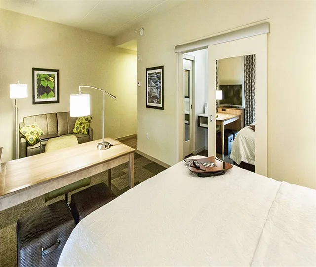 جناح استوديو بسرير كينج، Hampton Inn Hibbing 3/4