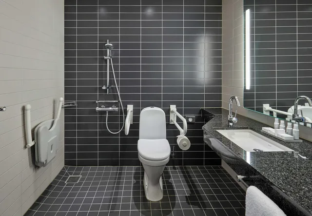 غرفة بسرير كينج لذوي الإعاقة، CROWNE PLAZA COPENHAGEN TOWERS 3/3