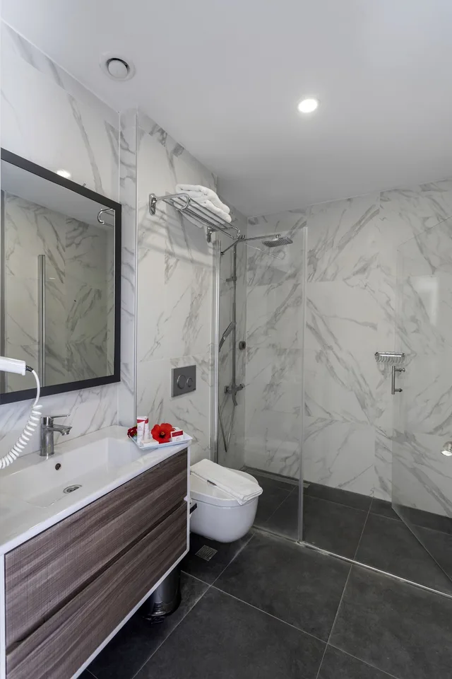 غرفة قياسية بسرير كوين بشرفة، Vega Aparts & Residences 5/5
