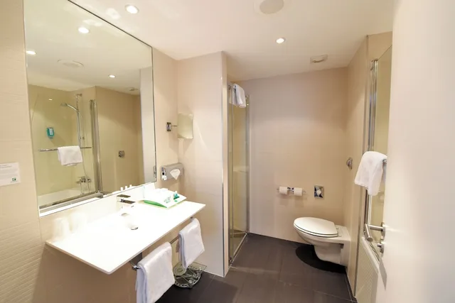 غرفة بريميوم بسرير فردي، HOLIDAY INN MULHOUSE 10/10
