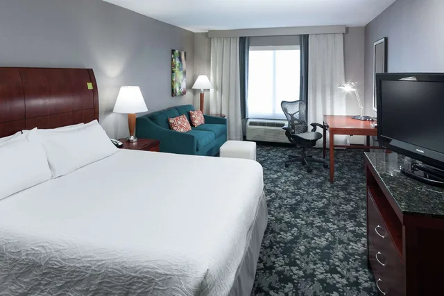 غرفة بسرير كينج مع أريكة لذوي الإعاقة، Hilton Garden Inn Naperville/Warrenville 1/2