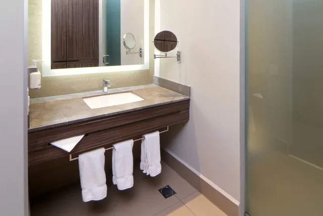 Ballpark, Standard, King Bed, Balcony، Holiday Inn Express Suites Monterrey Valle 8/10