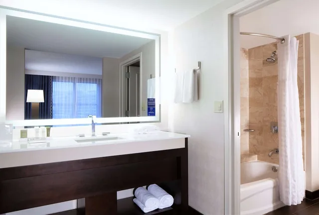 غرفة بسرير كينج بشرفة بغرفة نوم واحدة، Hilton Alexandria Old Town 4/7