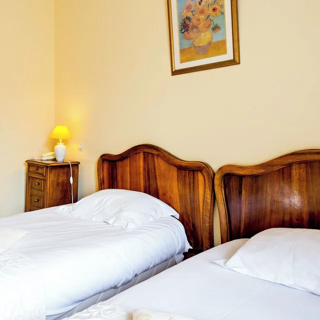 غرفة سوبيريور بسريرين منفصلين، Hotel Continental 9/10