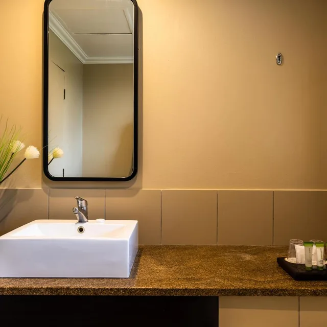 جناح تنفيذي، PREMIER HOTEL THE WINKLER 4/4