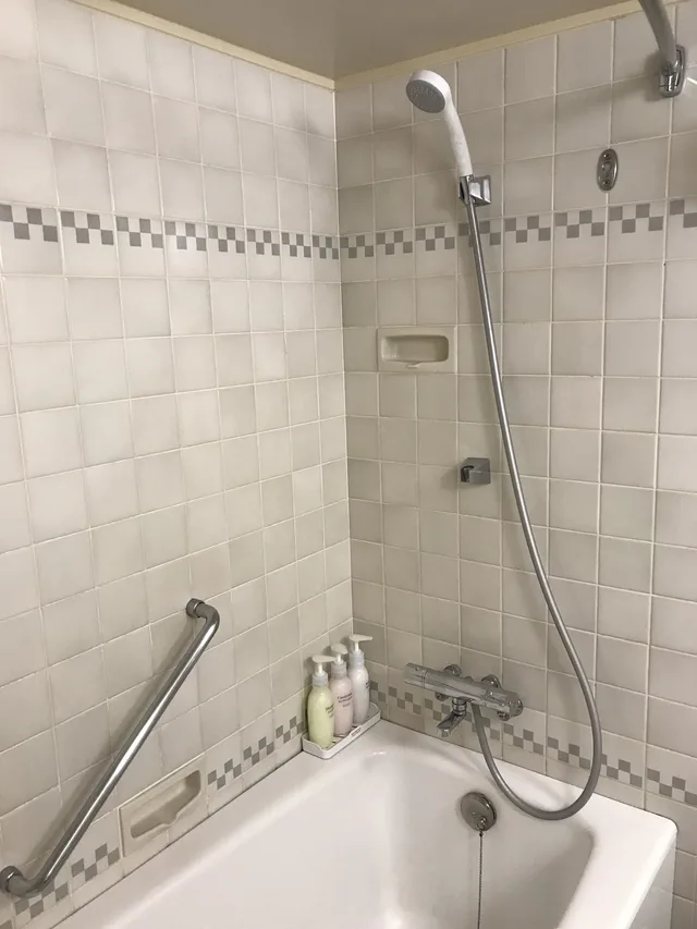 Renovated, Queen Bed, Main Building، Sapporo Grand Hotel 4/8