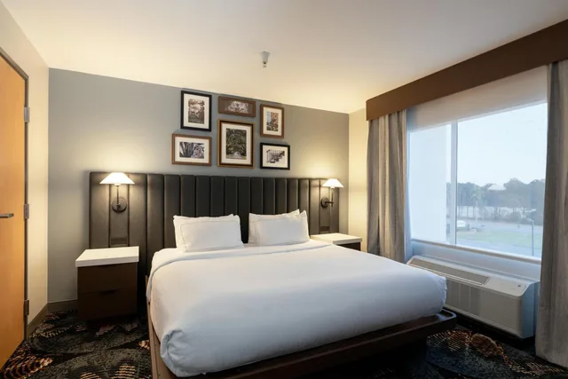 جناح جونيور بسريرين كينج مع أريكة، DoubleTree by Hilton Hotel Savannah Airport 6/10