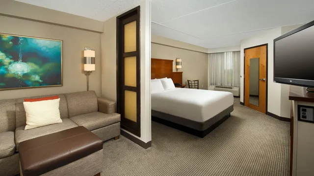 غرفة بسرير كينج مع أريكة بحوض استحمام لذوي الإعاقة، Hyatt Place San Antonio - Northwest/Medical Center 1/1
