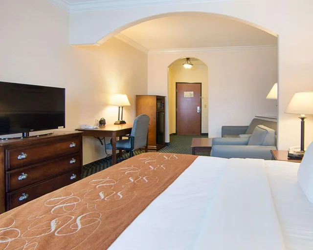 جناح بسرير كينج مع أريكة لذوي الإعاقة، Comfort Suites Tomball Medical Center, TX 1/10