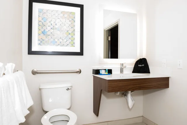 غرفة قياسية بسرير كينج، Holiday Inn Express Hotel Suites Tampa Usf Busch Gardens 8/9