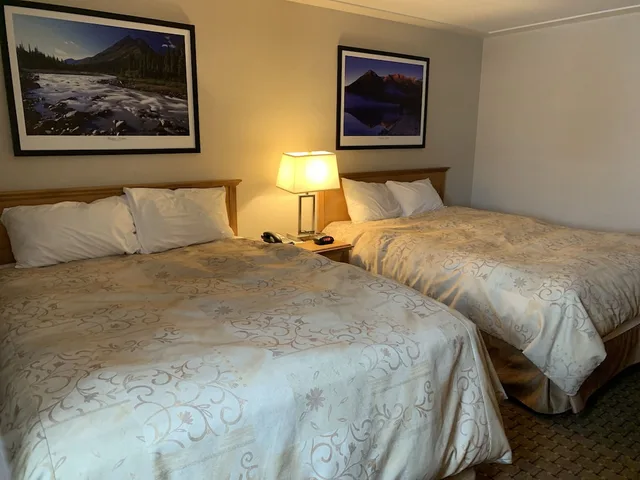 جناح تنفيذي بسريرين كوين، Woodlands Inn Suites 1/4