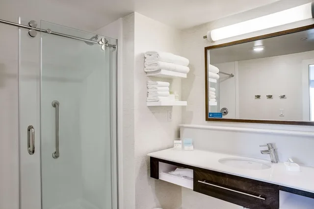 جناح بسرير كينج بإطلالة على المدينة مع أريكة، Hampton Inn and Suites Fort Worth Downtown, TX 2/4
