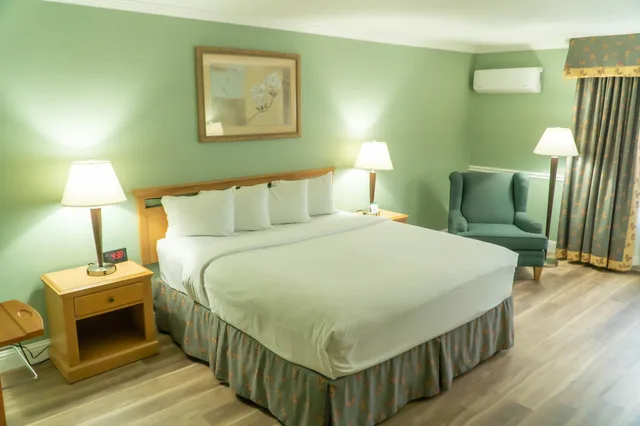 غرفة تنفيذية بسرير كينج، Hotel Piccadilly 1/3