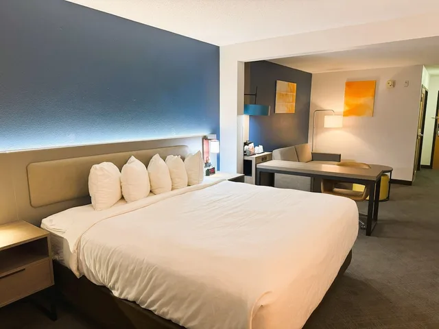 جناح بسرير كينج مع أريكة، Comfort Inn & Suites Sheboygan I-43 3/6