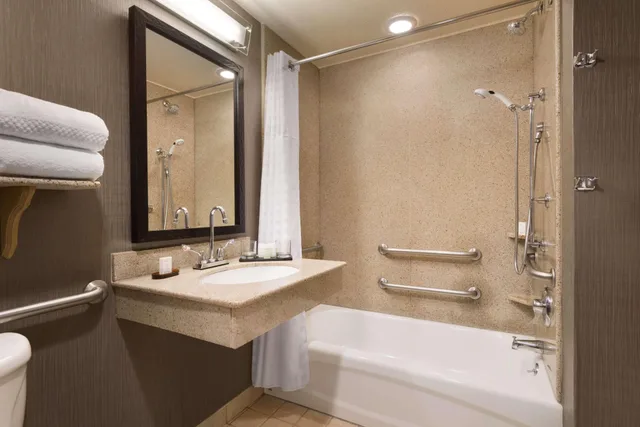 غرفة بسرير كينج بغرفة نوم واحدة لذوي الإعاقة، Embassy Suites by Hilton Franklin Cool Springs 2/3