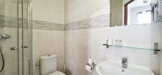 غرفة كلاسيكية بسرير مزدوج أو سريرين منفصلين، Hotel De France. 4/4
