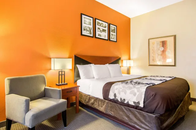 Standard, King Bed, Accessible, Sleep Inn & Suites Athens South 1/2