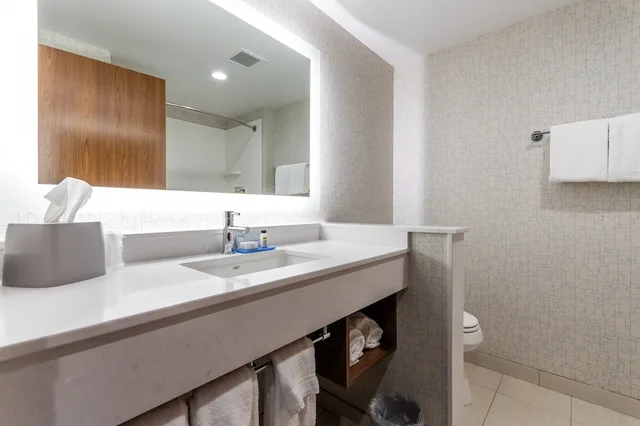 جناح بسرير كينج مع أريكة، Holiday Inn Express Suites Chilliwack East 3/3