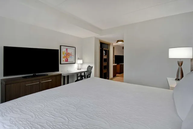 جناح بسرير كينج بغرفة نوم واحدة مع أريكة، Hilton Garden Inn Detroit Metro Airport 1/1