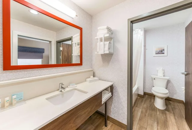 استوديو بسريرين كوين مع أريكة لذوي الإعاقة، Hampton Inn and Suites Benton Harbor MI 2/3