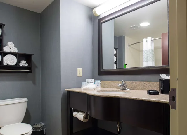 Studio, King Bed, Jetted Tub, Hampton Inn And Suites Vineland 2/4
