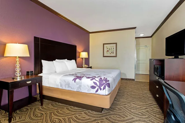جناح ديلوكس بسرير كينج لذوي الإعاقة، La Quinta Inn and Suites by Wyndham Ft. Worth - Burleson 1/5