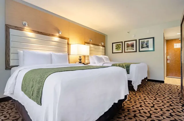 غرفة بسريرين كوين، Comfort Inn Raleigh Midtown NC 1/5