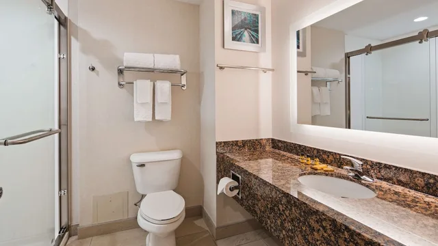 غرفة قياسية بسرير كينج، Best Western Plus Wilkes Barre-Scranton Airport Hotel 4/7