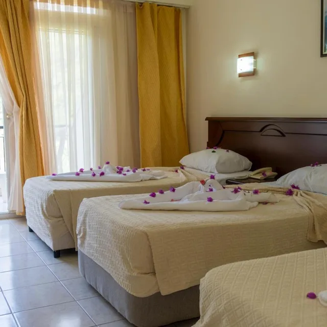غرفة قياسية بسرير مزدوج، Imeros Hotel 5/9
