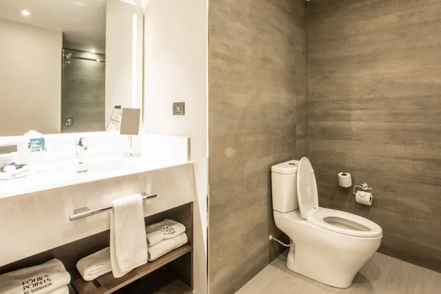 غرفة تقليدية بسرير كينج بإطلالة، Four Points By Sheraton Puebla 5/7