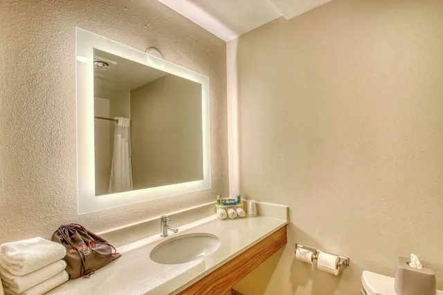 Suite, King Bed, Sofa, Holiday Inn Express Hotel And Suites Oshkosh Sr 41 6/7