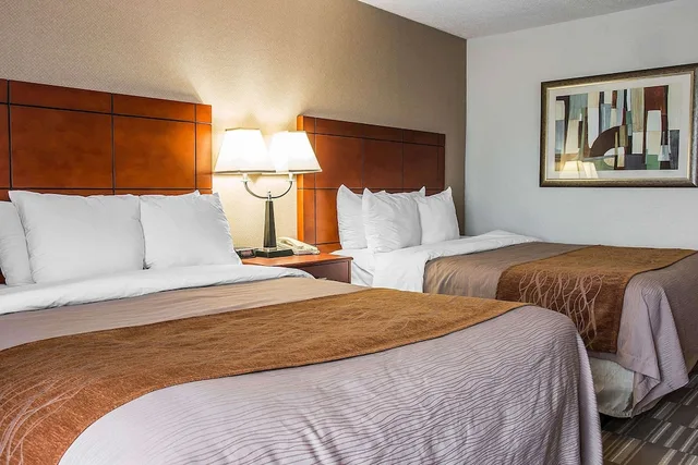 غرفة قياسية بسريرين كوين لذوي الإعاقة، Comfort Inn & Suites University South 2/2