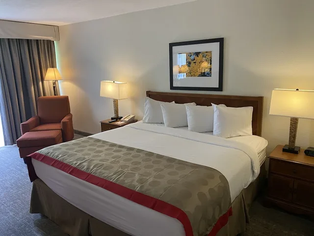 Room, King Bed, Accessible, Hotel Mesa Albuquerque Midtown 4/10