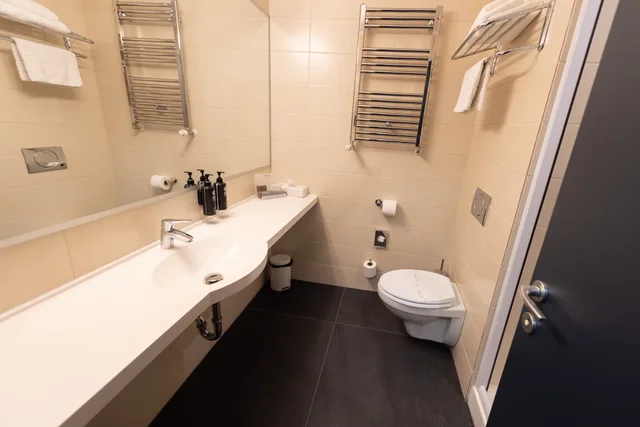 Deluxe Guestroom Single Use، Wyndham Cluj 3/3