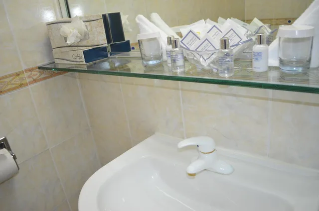 غرفة بسرير كينج بإطلالة على البحيرة، The Congress Plaza Hotel 6/7